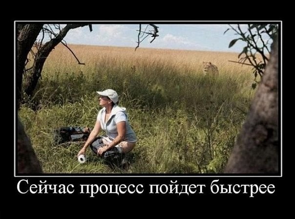 Демотиваторы от 2010 года