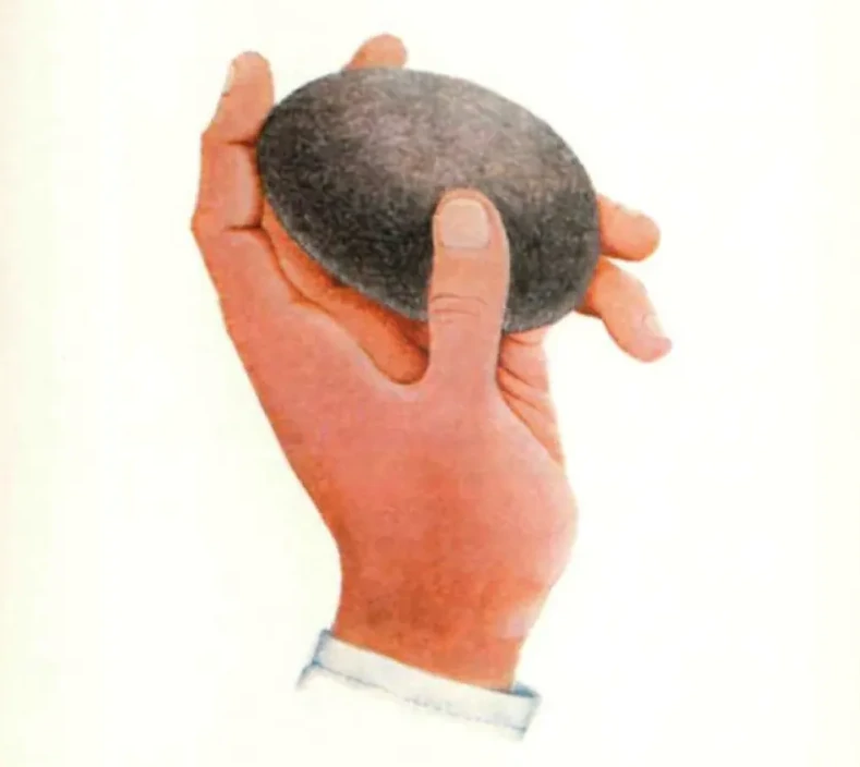 История о том, как бесполезная галька породила безумный тренд и сделала безработного миллионером