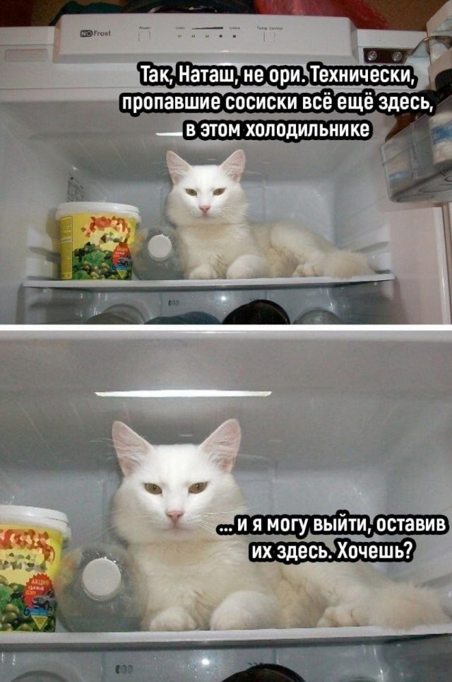 Скрины из соцсетей