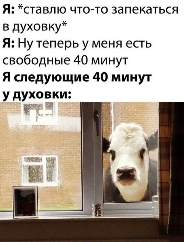 Скрины из соцсетей