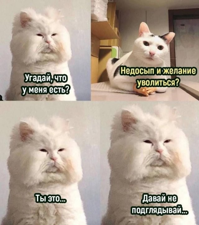 Скрины из соцсетей