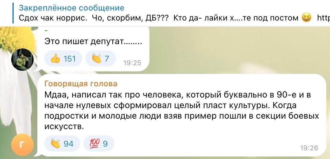 Депутата «ЕР» могут исключить из партии из-за комментариев про смерть Чака Норриса