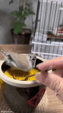 Просто гифки, всякие и&nbsp;разные