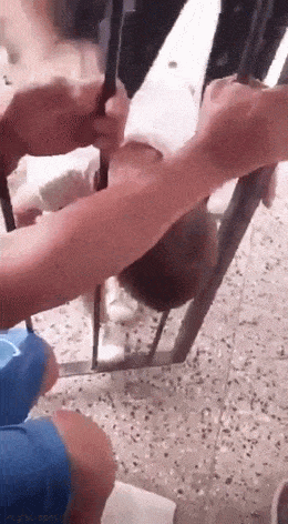 Просто гифки, всякие и&nbsp;разные