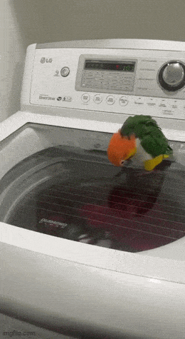 Просто гифки, всякие и&nbsp;разные