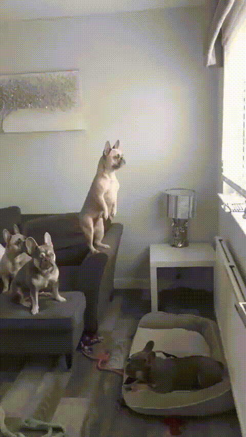 Просто гифки, всякие и&nbsp;разные