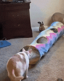 Просто гифки, всякие и&nbsp;разные