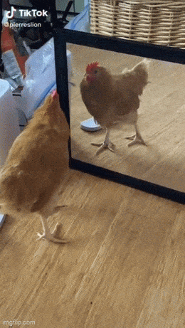 Просто гифки, всякие и&nbsp;разные