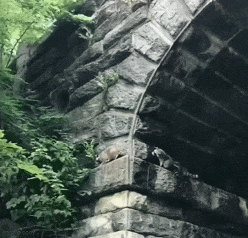 Просто гифки, всякие и&nbsp;разные