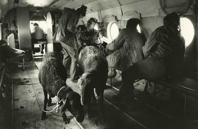 История нашей Родины в фотографиях-2. Гражданская авиация