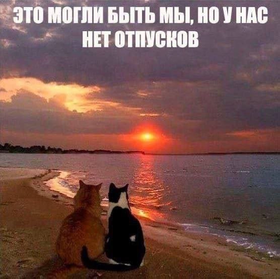 Скрины из соцсетей
