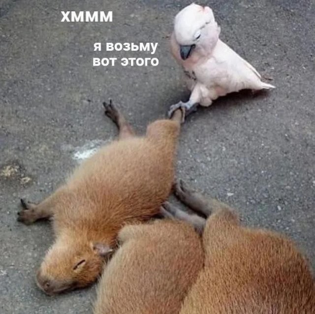 Скрины из соцсетей