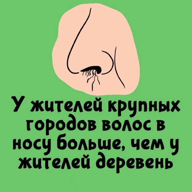 А вдруг ты не знал…