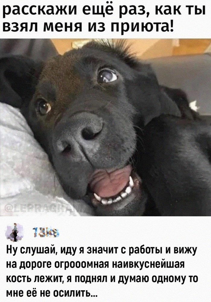 Не ищите здесь смысл. Здесь в основном маразм