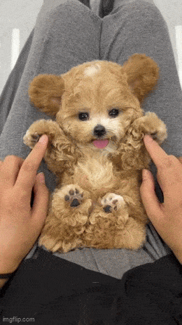 Просто гифки, всякие и&nbsp;разные