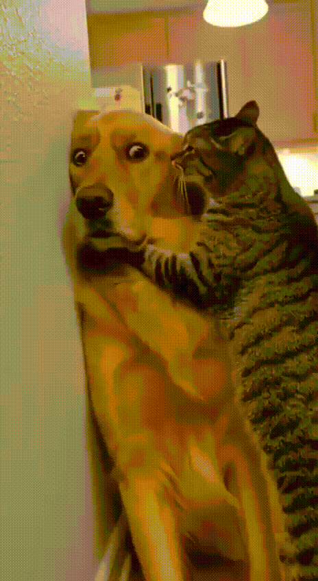 Просто гифки, всякие и&nbsp;разные