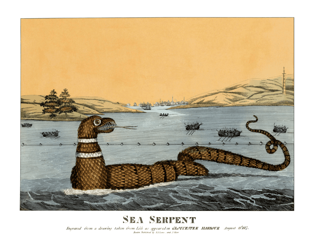 Чудовище Глостера: как один змей рассорил учёных и вдохновил насмешников