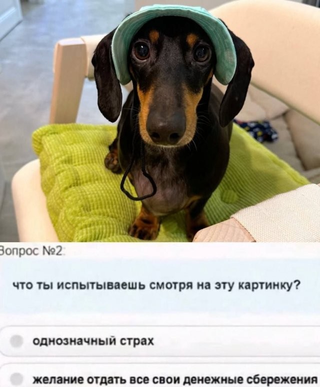 Скрины из соцсетей