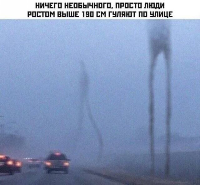 Скрины из соцсетей