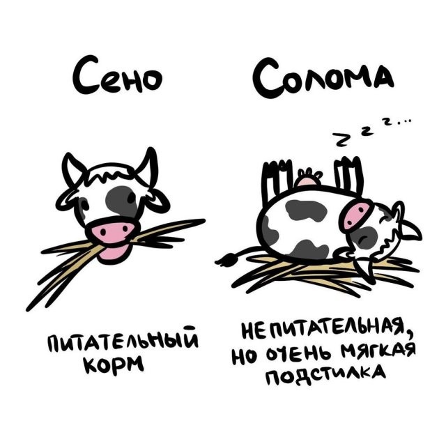 А вдруг ты не знал…