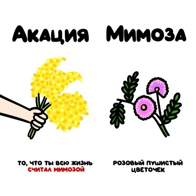 А вдруг ты не знал…