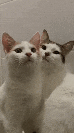 Просто гифки, всякие и&nbsp;разные