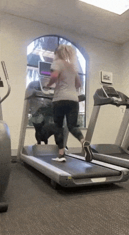 Просто гифки, всякие и&nbsp;разные