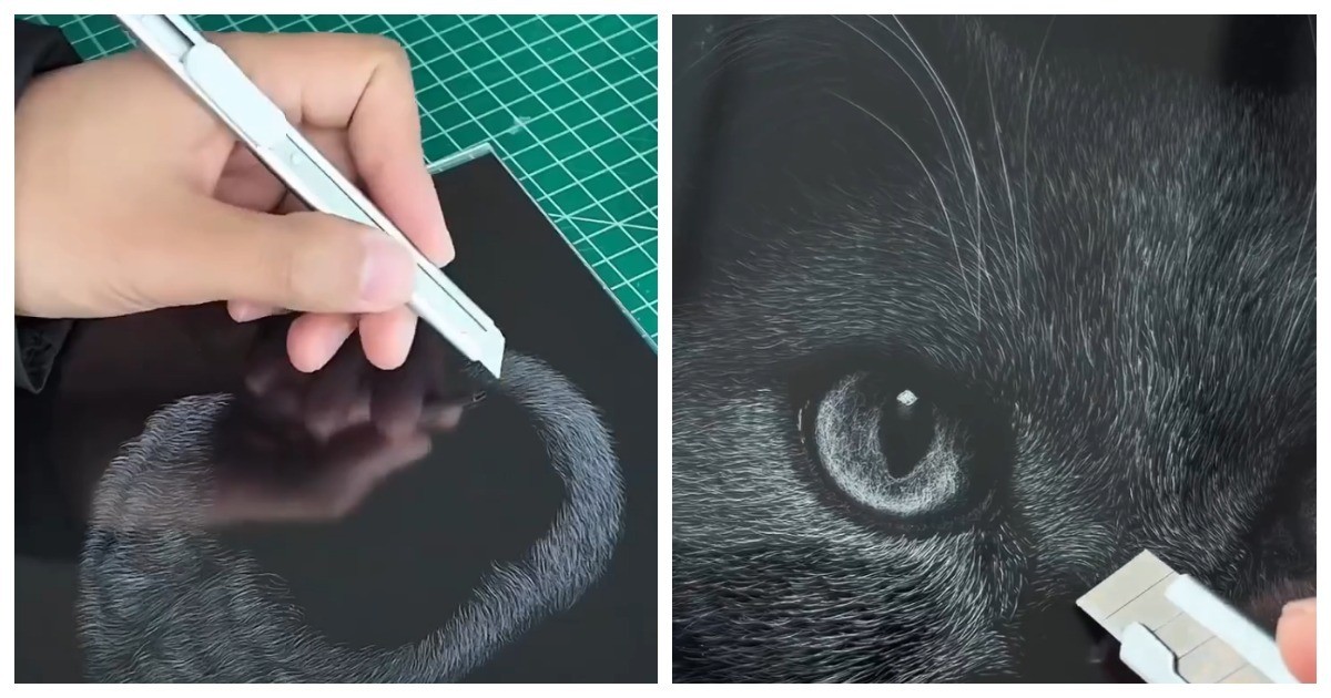 Художник создает портреты животных с помощью канцелярского ножа