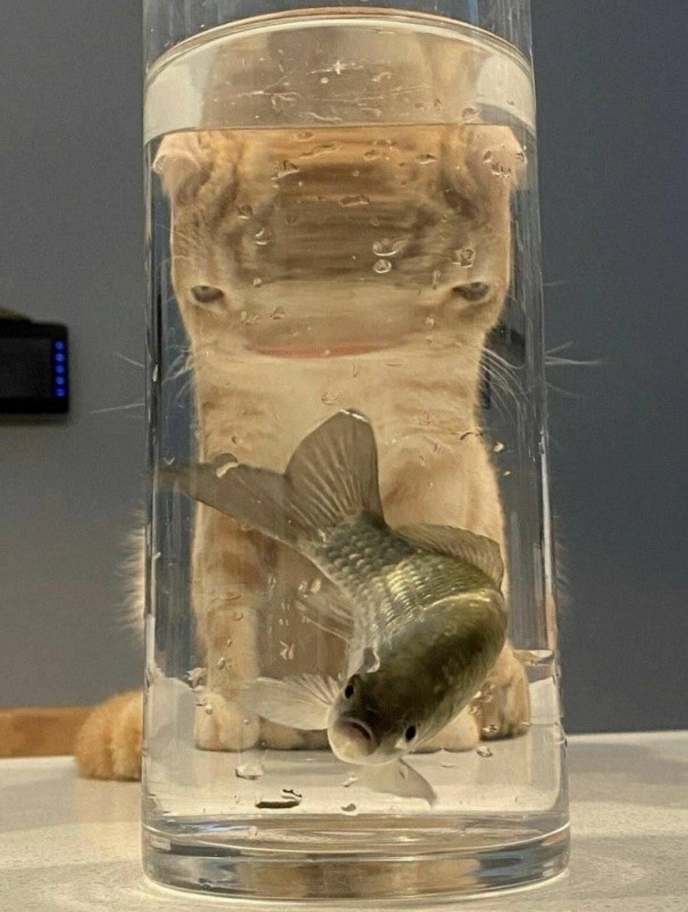 17. Искажения нашего мира