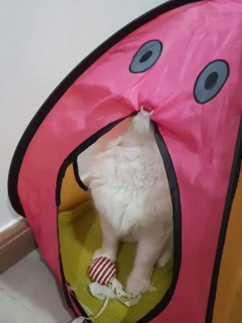 11. Новый для науки вид