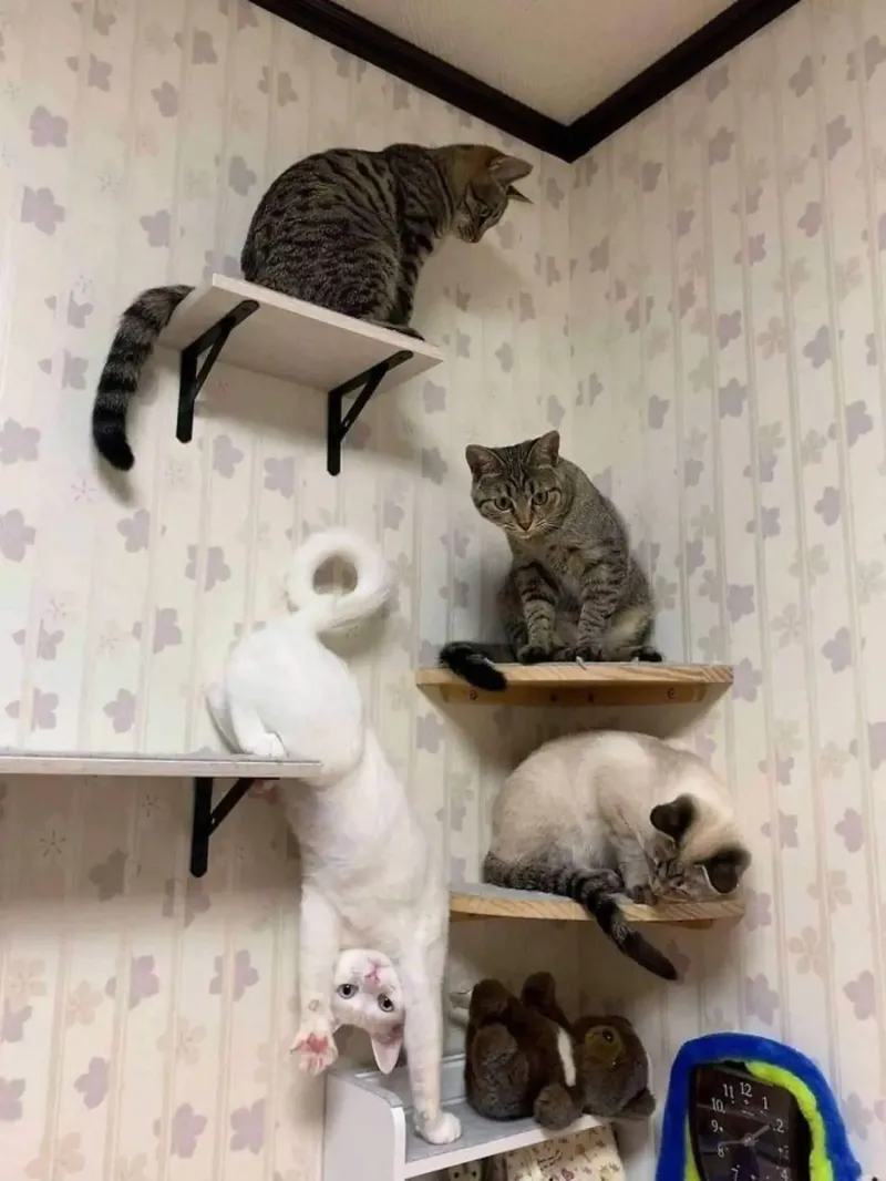 4. В любой компании единомышленников есть кто-то  с альтернативной точкой зрения