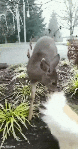 Просто гифки, всякие и&nbsp;разные