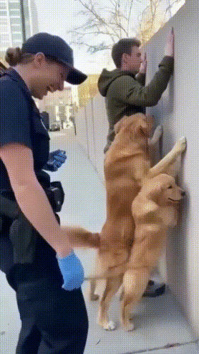 Просто гифки, всякие и&nbsp;разные