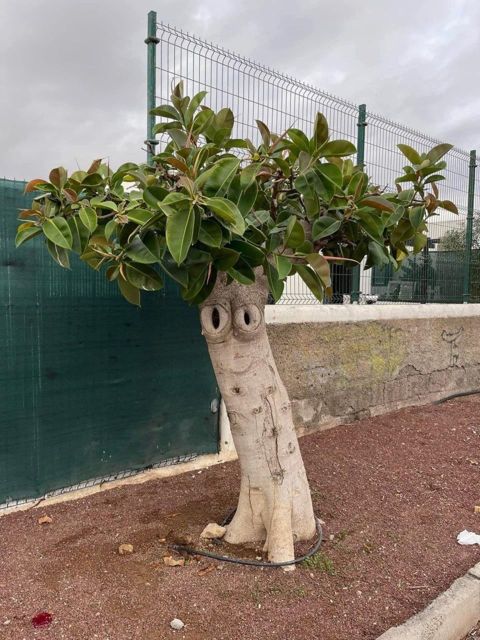 18. Счастье есть