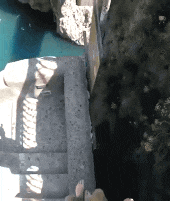 Просто гифки, всякие и&nbsp;разные