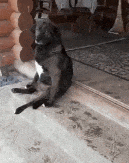 Просто гифки, всякие и&nbsp;разные