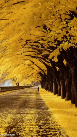 Просто гифки, всякие и&nbsp;разные