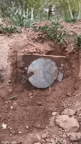 Просто гифки, всякие и&nbsp;разные