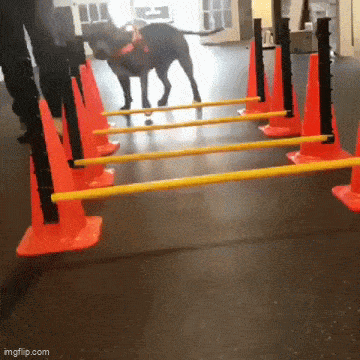 Просто гифки, всякие и&nbsp;разные