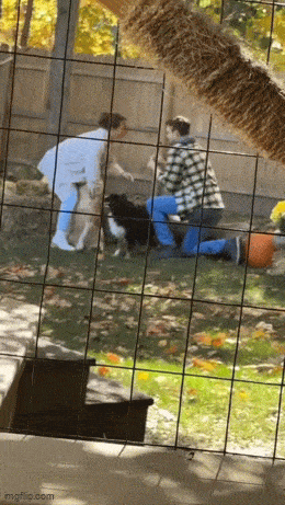 Просто гифки, всякие и&nbsp;разные