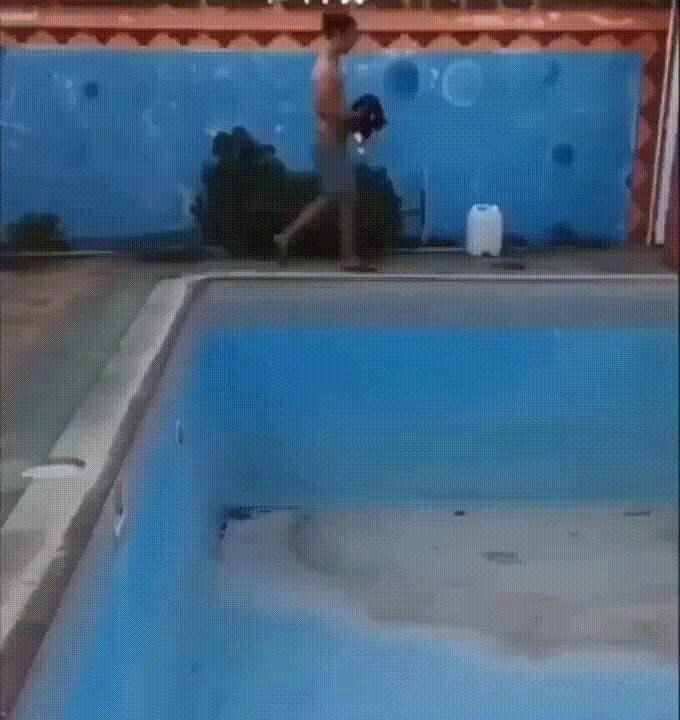 Просто гифки, всякие и&nbsp;разные