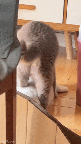 Просто гифки, всякие и&nbsp;разные