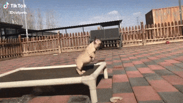 Просто гифки, всякие и&nbsp;разные