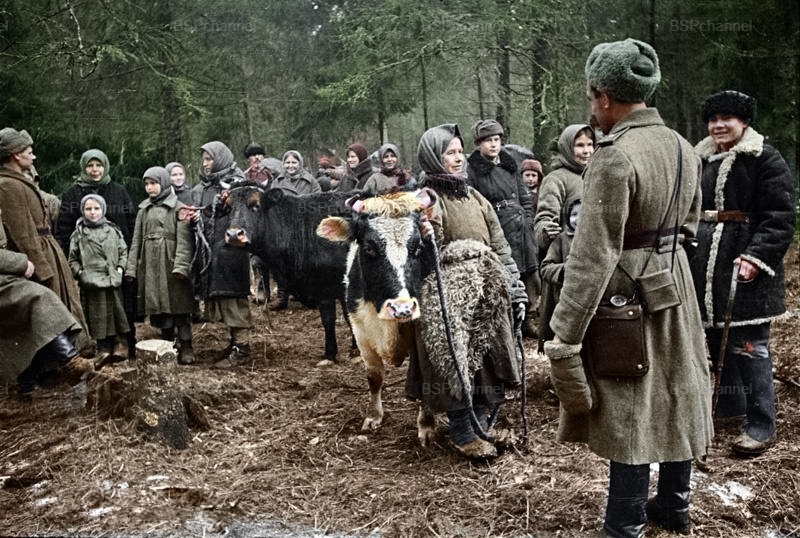 Фронт и тыл Великой Отечественной Войны на снимках