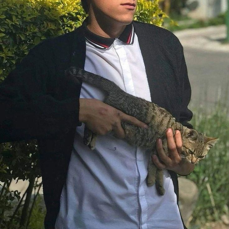 6. Кот-пулемёт