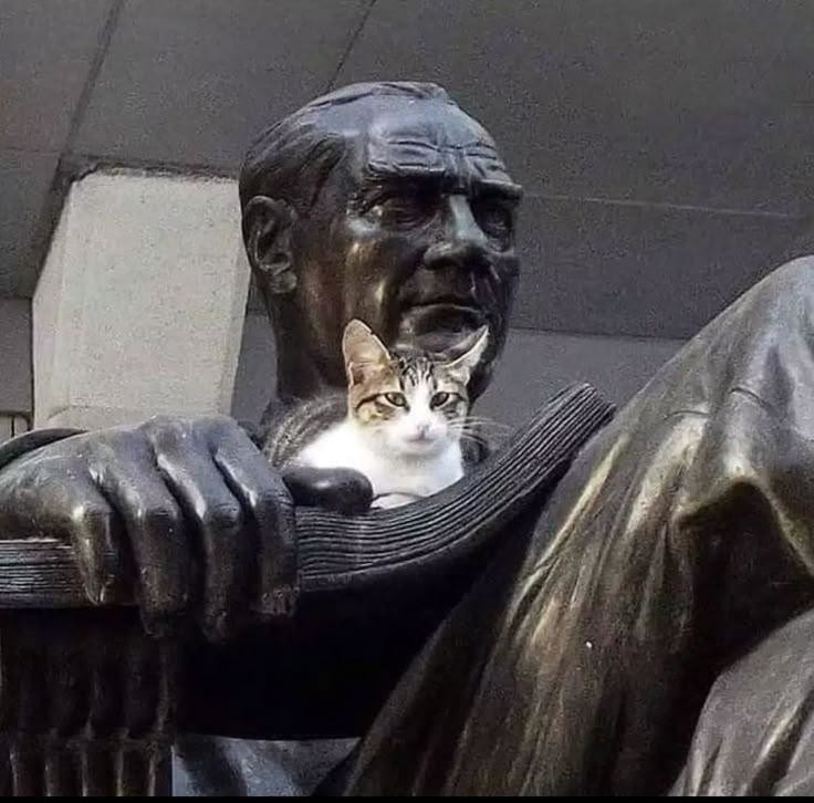 19. Когда каждый на своём месте