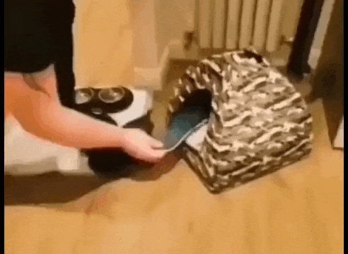 Просто гифки, всякие и&nbsp;разные