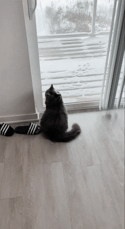 Просто гифки, всякие и&nbsp;разные