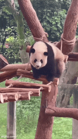 Просто гифки, всякие и&nbsp;разные