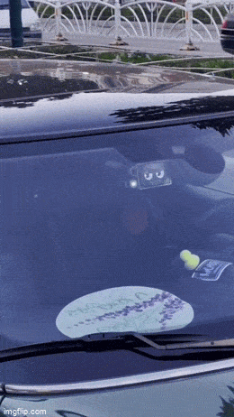 Просто гифки, всякие и&nbsp;разные